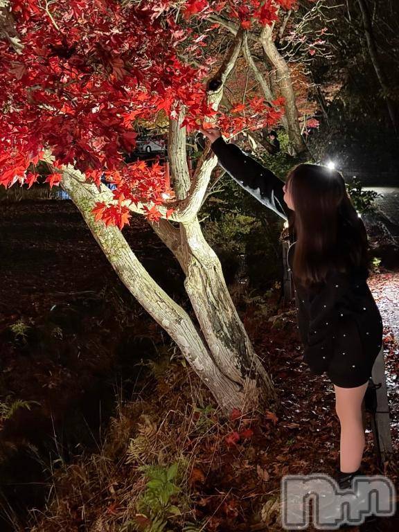 長岡デリヘルROOKIE(ルーキー) まよい(23)の11月24日写メブログ「🤍🤍」