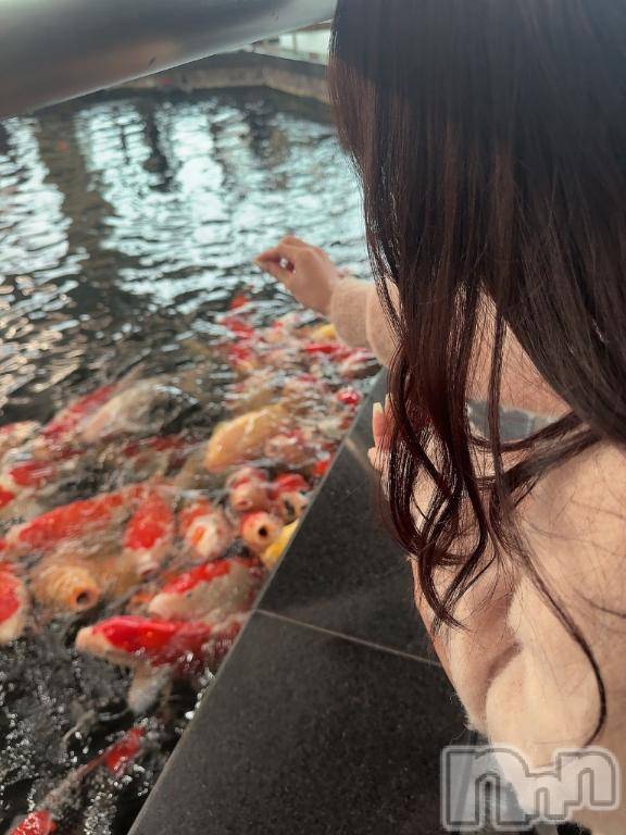 長岡デリヘルROOKIE(ルーキー)まよい(23)の2025年11月19日写メブログ「るんるん💞」