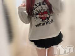 新潟デリヘルA(エース) れな(R)(22)の1月8日写メブログ「絶対領域💓」