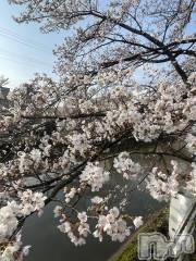 新潟手コキ新潟風俗Noel-ノエル-(ノエル) なぎ(21)の4月12日写メブログ「🌸🌸」