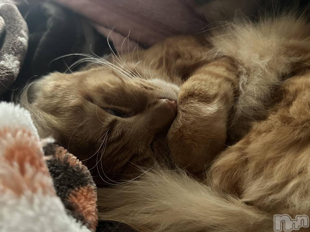 ȯĥХ顦La.DOUBLE(֥) Τ222̥֥🐱ྀི🐱ྀི🐱ྀི
