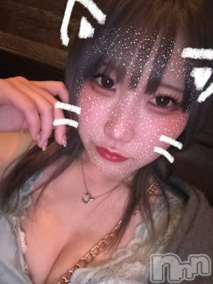 ȯĥХ顦La.DOUBLE(֥) Τ221ֿ̥֥