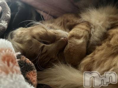ȯĥХ顦La.DOUBLE(֥) Τ222̥֥🐱ྀི🐱ྀི🐱ྀི