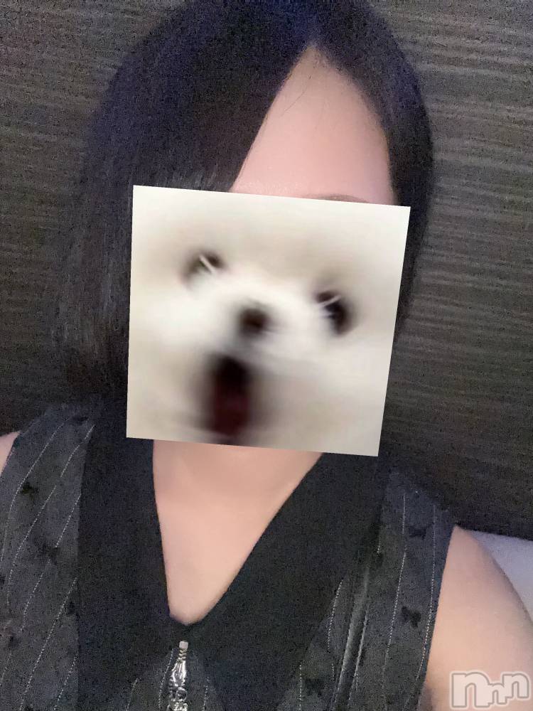 �������������������åȥС�Bar Rapport(�С���ݡ���) �ޤʤۤ�3��7���̥�֥����֤��äȤ����֤˽�🌸��