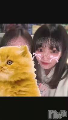 ͶǤäѤ