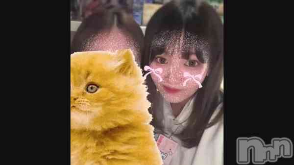 ޤʤۡͶǤäѤ