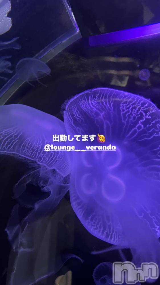 ƲХ顦Lounge Veranda(饦󥸥٥) ᤤ325̥֥🦋