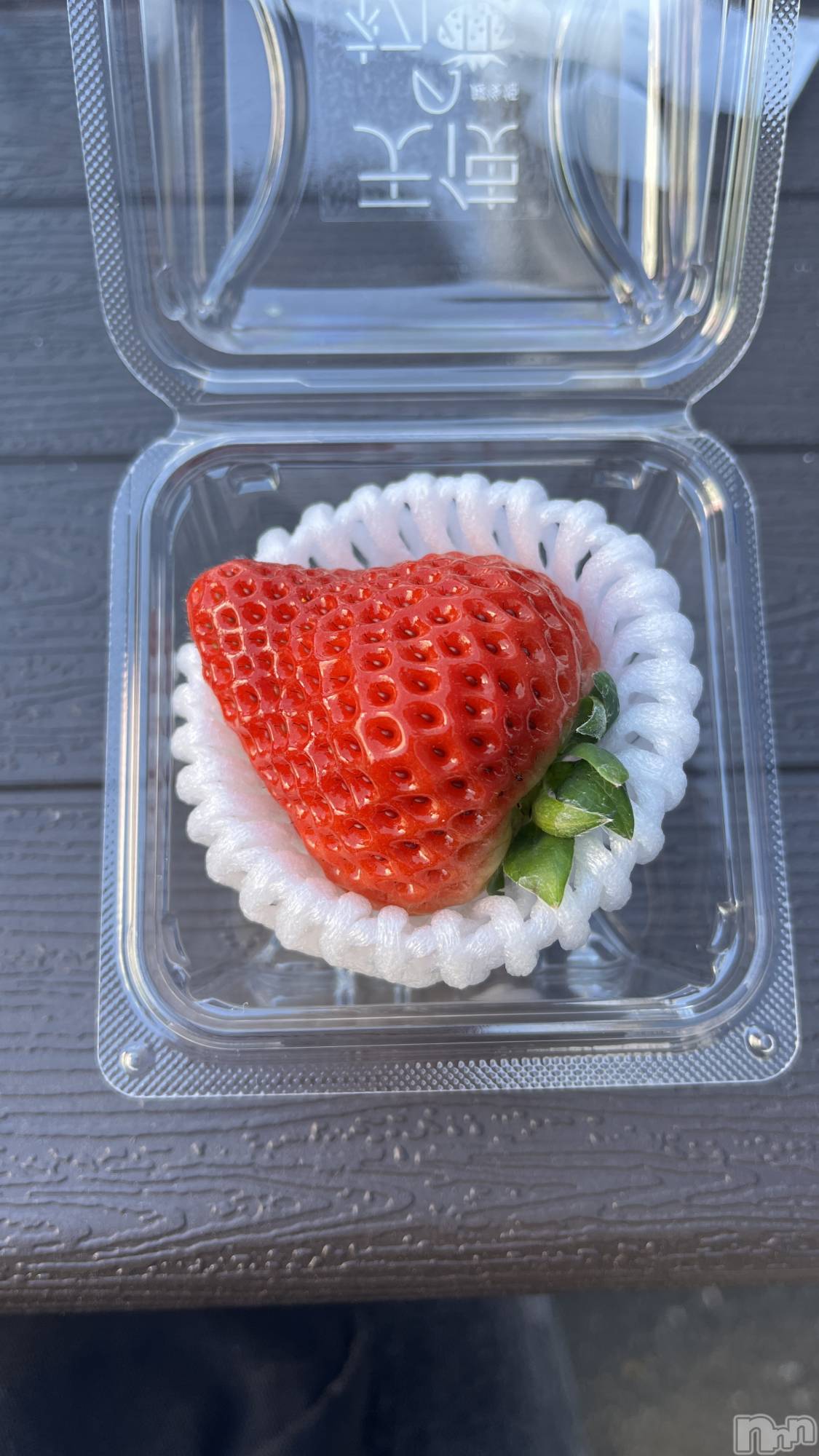 ��Ʋ����Х��顦�����Lounge Veranda(�饦�󥸥٥���) ��2026ǯ3��11���̥�֥�����🦋��