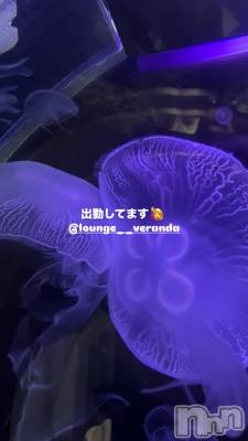 ƲХ顦Lounge Veranda(饦󥸥٥) ᤤ325̥֥🦋