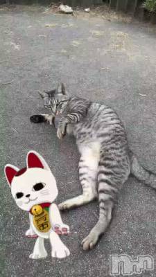 ���ޤ�ʤ���🥰