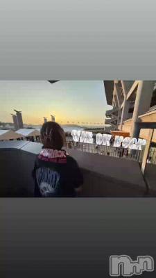 �ǹ⡪����