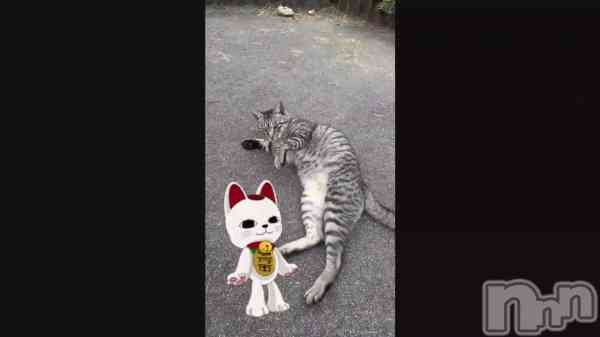 �֤��ޤ�ʤ���🥰��