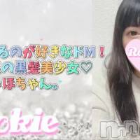 しほ