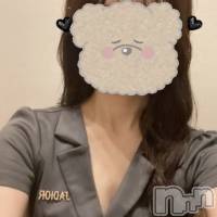 㡦ȯĥꥢ󥺥 ޤơ(ޥƥåȥ˥) ܲ֡뤫β(2)