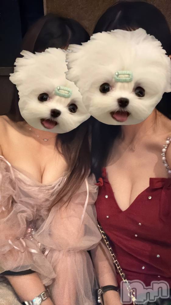 ܱʥå륺СLounge e'nne(饦󥸥) ߤŤ321ֽ̥֥🍺