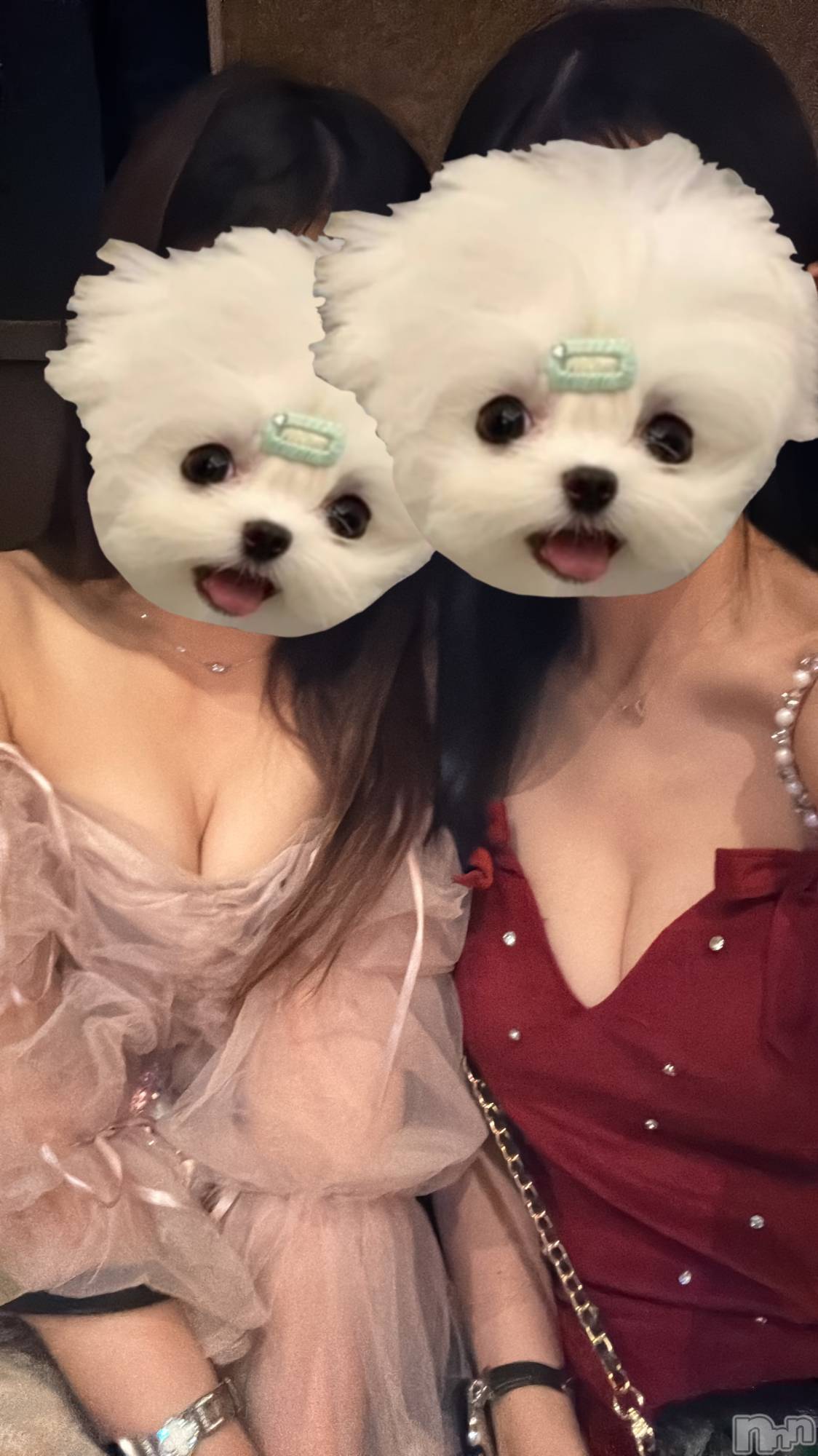 ܱʥå륺СLounge e'nne(饦󥸥) 2025ǯ321ֽ̥֥🍺