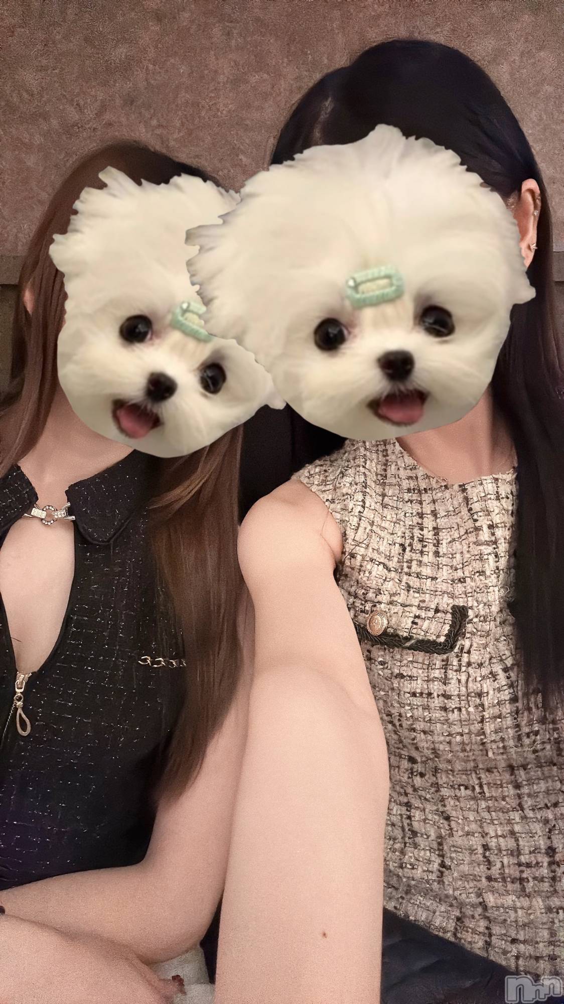 ܱʥå륺СLounge e'nne(饦󥸥) 2025ǯ430̥֥🌱