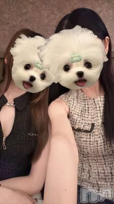 ܱʥå륺СLounge e'nne(饦󥸥) (24)430̥֥🌱