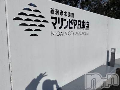 新潟ソープ 新潟バニーコレクション(ニイガタバニーコレクション) チアキ(23)の1月7日写メブログ「新潟 ありがとうまた来ます」