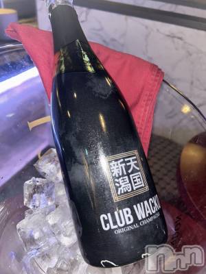 Х顦CLUB WACKO(֥拾) ʥ(24)212̥֥🥂