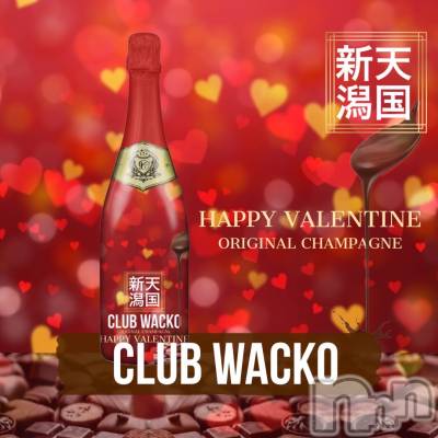 Х顦CLUB WACKO(֥拾) ʥ(24)214̥֥🍫