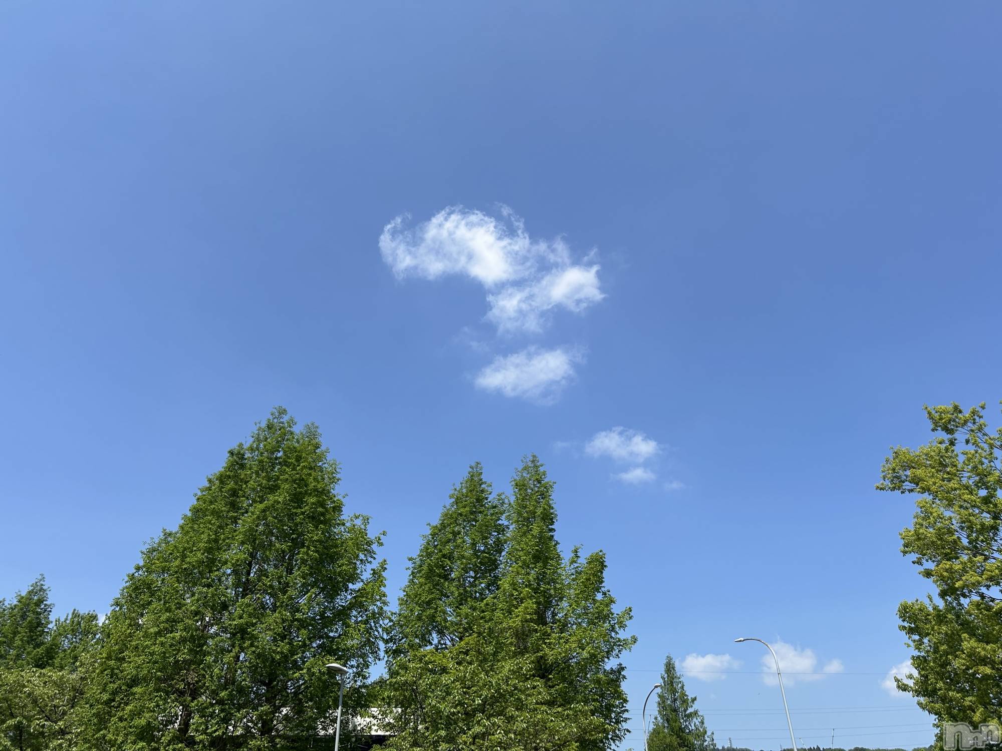 上越風俗エステ上越風俗出張アロママッサージ(ジョウエツフウゾクシュッチョウアロママッサージ)新人あの★完全未経験(34)の2025年5月13日写メブログ「こんにちは☀️」