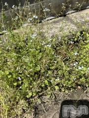 上越デリヘル上越風俗出張アロママッサージ(ジョウエツフウゾクシュッチョウアロママッサージ) あの★完全未経験(34)の5月10日写メブログ「おはようございます☀️」