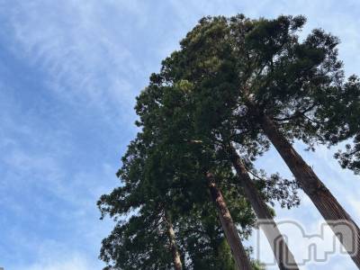 上越デリヘル 上越風俗出張アロママッサージ(ジョウエツフウゾクシュッチョウアロママッサージ) あの★完全未経験(34)の4月29日写メブログ「おはようございます❤️」