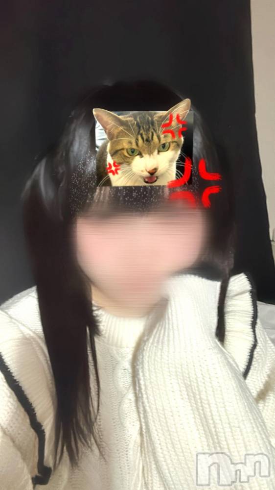 新潟手コキ新潟風俗Noel-ノエル-(ノエル) ひめ(19)の11月13日写メブログ「🉐本日🉐」