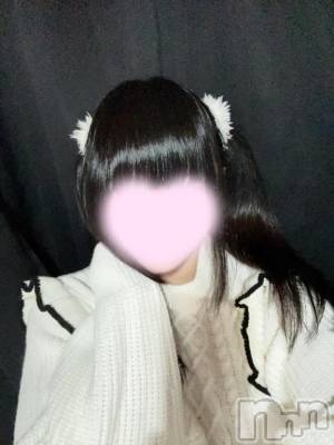 新潟デリヘル 新潟風俗Noel-ノエル-(ノエル) ひめ(19)の10月15日写メブログ「🐈🐾」