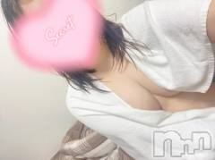 上越デリヘルHONEY(ハニー) みらい(♪)(24)の11月20日写メブログ「またあした(*´︶`*)ﾉ」