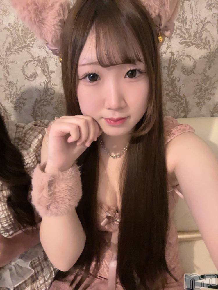 ʥå륺С󥻥ץȥե ˤޤ(󥻥ץȥե˥ޥ륭奦ǥ) ߤ12̥֥12 0227ʬΥ֥