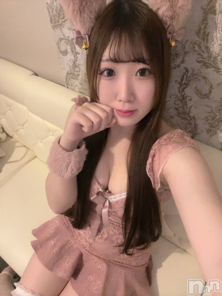 ʥå륺С󥻥ץȥե ˤޤ(󥻥ץȥե˥ޥ륭奦ǥ) ߤ122̥֥122 0103ʬΥ֥