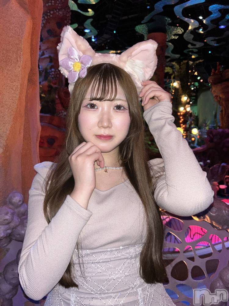 ʥå륺С󥻥ץȥե ˤޤ(󥻥ץȥե˥ޥ륭奦ǥ) ߤ36̥֥36 2117ʬΥ֥
