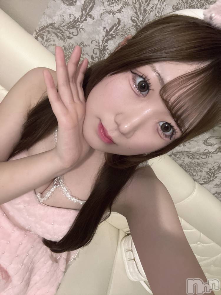 ʥå륺С󥻥ץȥե ˤޤ(󥻥ץȥե˥ޥ륭奦ǥ) ߤ331̥֥331 1256ʬΥ֥