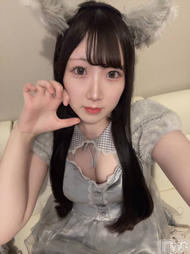 ʥå륺С󥻥ץȥե ˤޤ(󥻥ץȥե˥ޥ륭奦ǥ) ߤ510̥֥510 2221ʬΥ֥