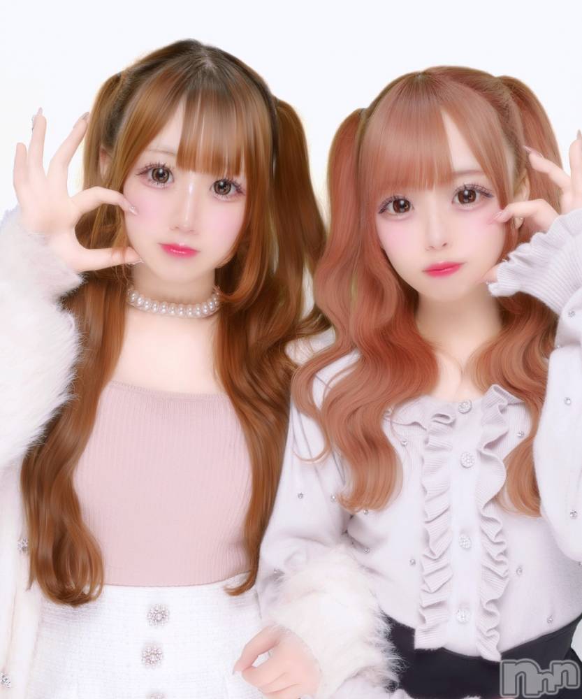 ʥå륺С󥻥ץȥե ˤޤ(󥻥ץȥե˥ޥ륭奦ǥ) ߤ521̥֥521 2304ʬΥ֥