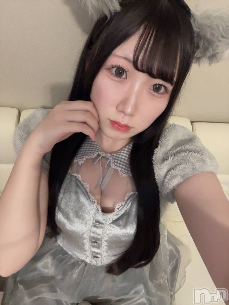 ʥå륺С󥻥ץȥե ˤޤ(󥻥ץȥե˥ޥ륭奦ǥ) ߤ521̥֥521 2308ʬΥ֥