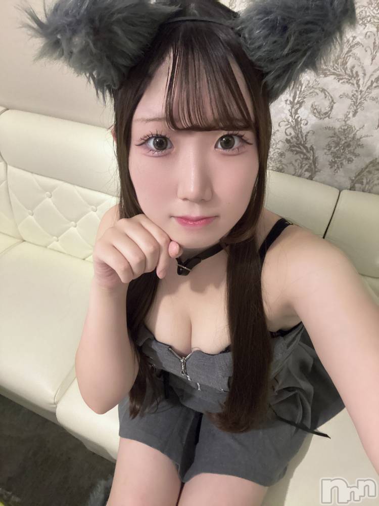 ʥå륺С󥻥ץȥե ˤޤ(󥻥ץȥե˥ޥ륭奦ǥ) ߤ722̥֥722 2311ʬΥ֥