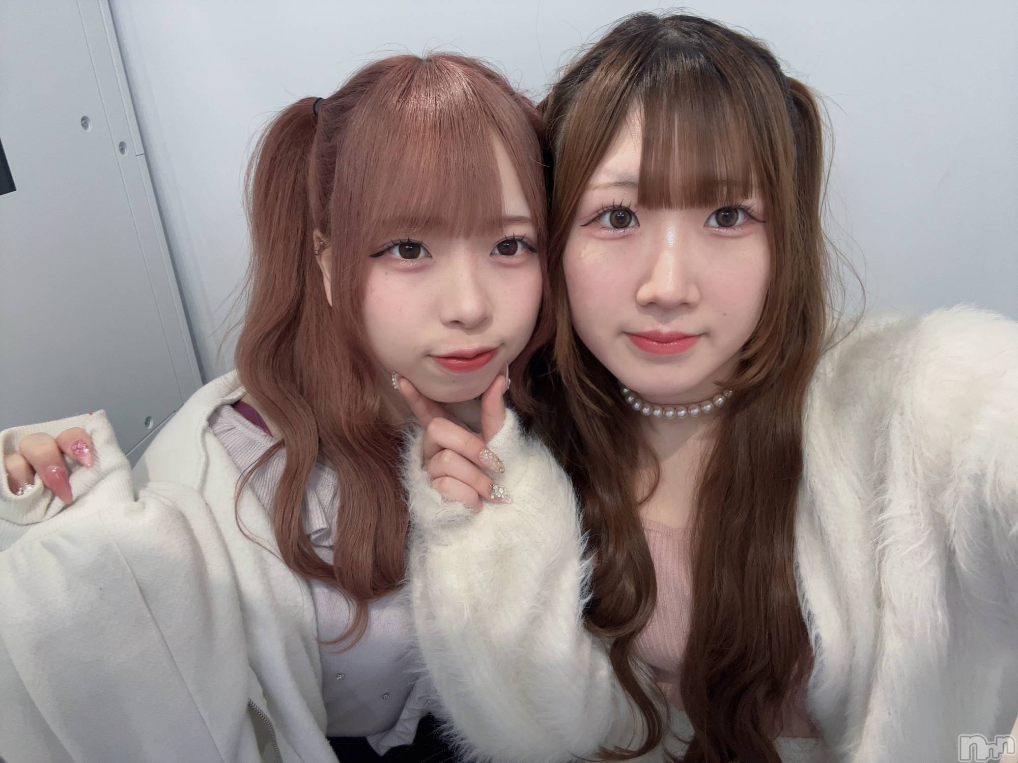ʥå륺С󥻥ץȥե ˤޤ(󥻥ץȥե˥ޥ륭奦ǥ) 2025ǯ430̥֥430 1530ʬΥ֥