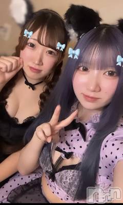 ʥå륺С󥻥ץȥե ˤޤ(󥻥ץȥե˥ޥ륭奦ǥ) ߤ123̥֥123 0238ʬΥ֥