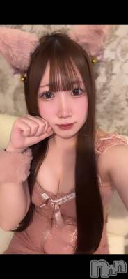 ʥå륺С󥻥ץȥե ˤޤ(󥻥ץȥե˥ޥ륭奦ǥ) ߤ1229̥֥1229 2049ʬΥ֥