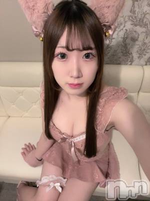 ʥå륺С󥻥ץȥե ˤޤ(󥻥ץȥե˥ޥ륭奦ǥ) ߤ219̥֥219 2130ʬΥ֥