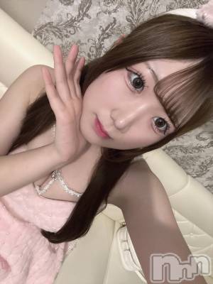 ʥå륺С󥻥ץȥե ˤޤ(󥻥ץȥե˥ޥ륭奦ǥ) ߤ331̥֥331 1256ʬΥ֥