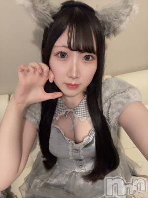 ʥå륺С󥻥ץȥե ˤޤ(󥻥ץȥե˥ޥ륭奦ǥ) ߤ510̥֥510 2221ʬΥ֥