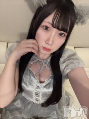ʥå륺С󥻥ץȥե ˤޤ(󥻥ץȥե˥ޥ륭奦ǥ) ߤ521̥֥521 2308ʬΥ֥