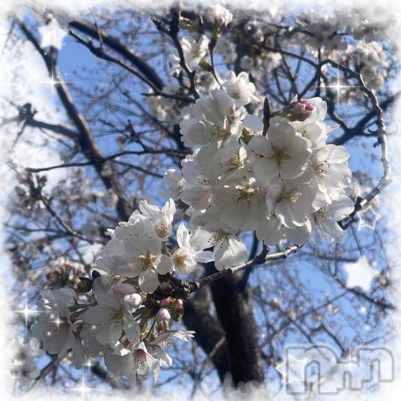 三条デリヘルalphaGOLD(アルファゴールド)あんな(21)の2025年4月19日写メブログ「🩷空き状況🩷」