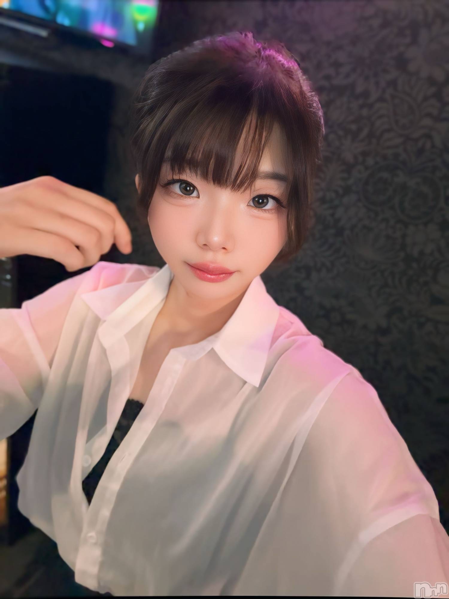 Įʥå륺С&饪BAR  L  STYLE(С륹) 2025ǯ819̥֥֤