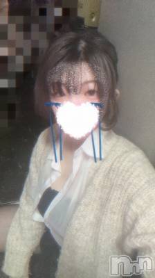 Įʥå륺С&饪BAR  L  STYLE(С륹) 椤(21)219̥֥֤Фϡ