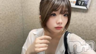 Įʥå륺С&饪BAR  L  STYLE(С륹) 椤(21)629̥֥
